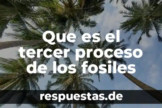 Que es el tercer proceso de los fosiles
