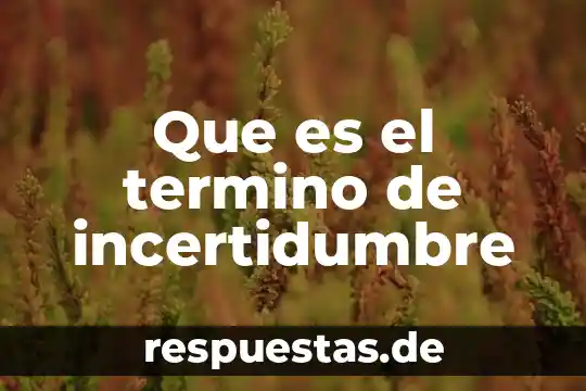 Que es el termino de incertidumbre