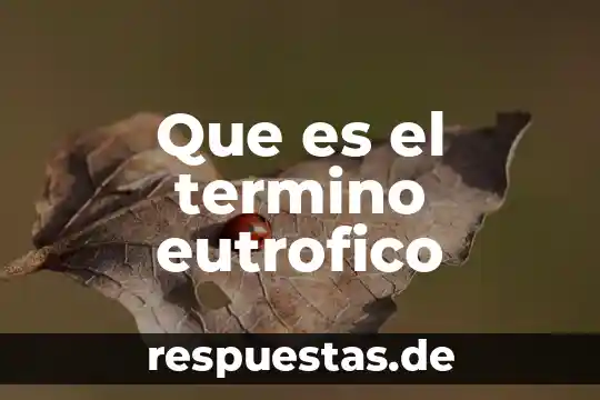 Qué es el término racional 6 Que es el termino eutrofico