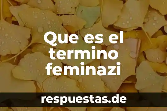 Qué es el término racional 5 Que es el termino feminazi
