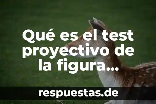 Qué es la sexualidad humana 8 Qué es el test proyectivo de la figura humana