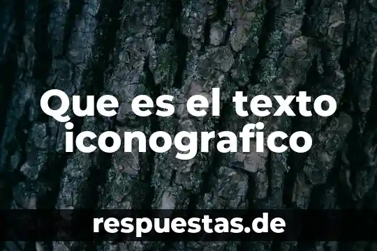 Que es significa sintetiza la esencia del texto 8 Que es el texto iconografico
