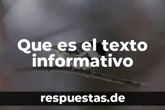 Que es el texto informativo