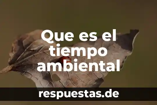 Que es conciencia ambiental ejemplos 8 Que es el tiempo ambiental