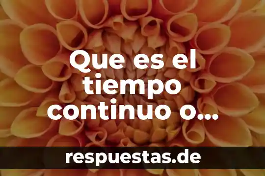 ¿Qué es variantes lingüísticas y características? 7 Que es el tiempo continuo o progresivo