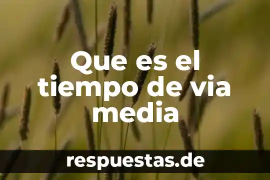 Que es la linea de tiempo ede adobe animate 5 Que es el tiempo de via media