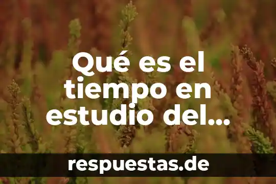 Que es significa trabajo 4 Qué es el tiempo en estudio del trabajo