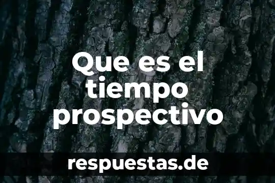 Que es el tiempo de via media 3 Que es el tiempo prospectivo