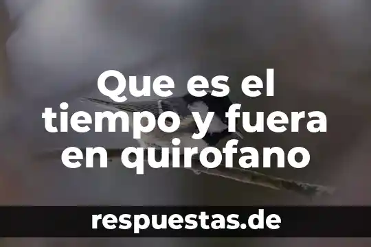 Que es una planta fuera de tipo 5 Que es el tiempo y fuera en quirofano