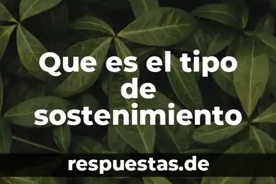 Que es un tipo de dato en visual basic 6 Que es el tipo de sostenimiento