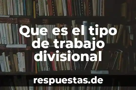 Que es un tipo de dato en visual basic 8 Que es el tipo de trabajo divisional
