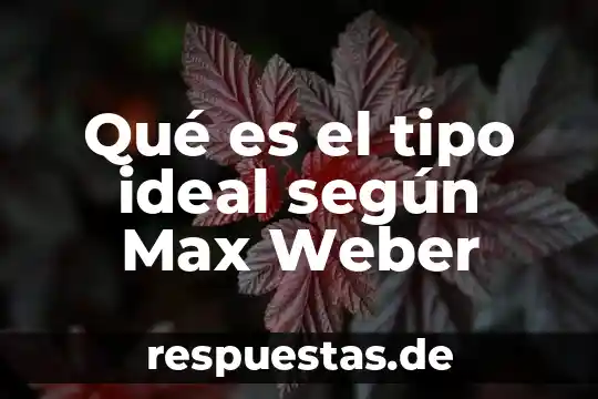 Qué es el tipo ideal según Max Weber