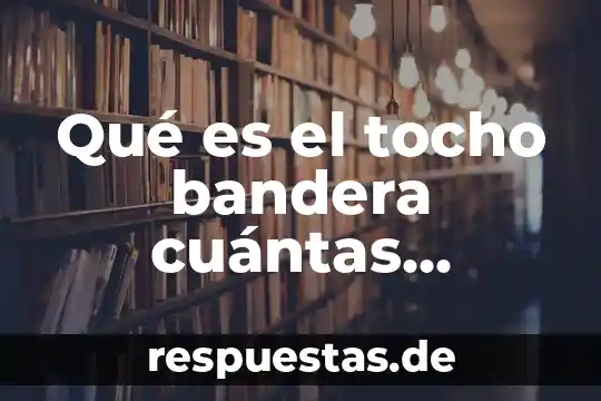 Que es la actividades economica y en cuantas se dividen 8 Qué es el tocho bandera cuántas personas participan
