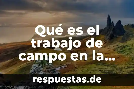 Que es campo indice visual foxpro 6 Qué es el trabajo de campo en la antropología