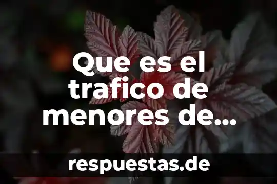 Que es color autores 5 Que es el trafico de menores de acuerdo a autores