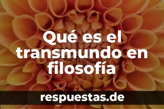 Qué es el transmundo en filosofía