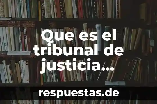 Que es una autoridad administrativa 5 Que es el tribunal de justicia administrativa