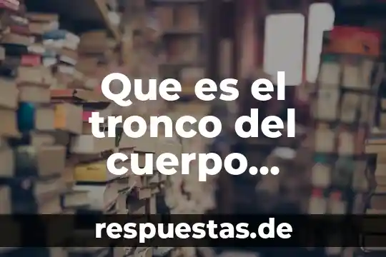 Que es ser hombre y ser humano 5 Que es el tronco del cuerpo humano