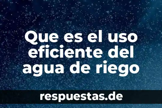 Que es el uso eficiente del agua de riego