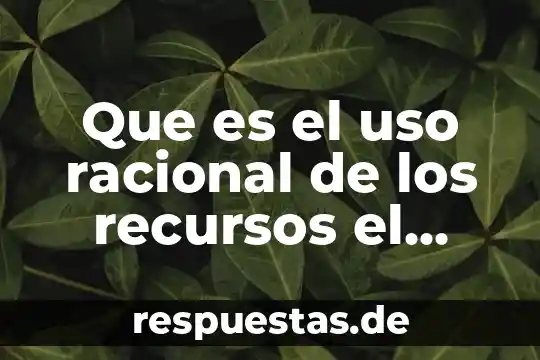 Qué es el alma racional en filosofía 6 Que es el uso racional de los recursos el universal