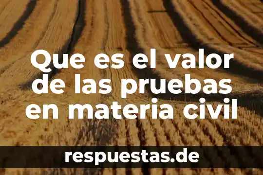 Que es el sistema educativo capitalista 7 Que es el valor de las pruebas en materia civil