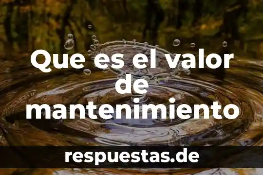 Que es dar mantenimiento a una computadora significado 5 Que es el valor de mantenimiento