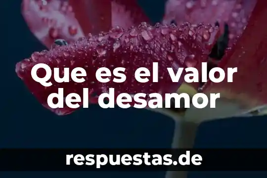 Qué es el valor absoluto de un número 7 Que es el valor del desamor