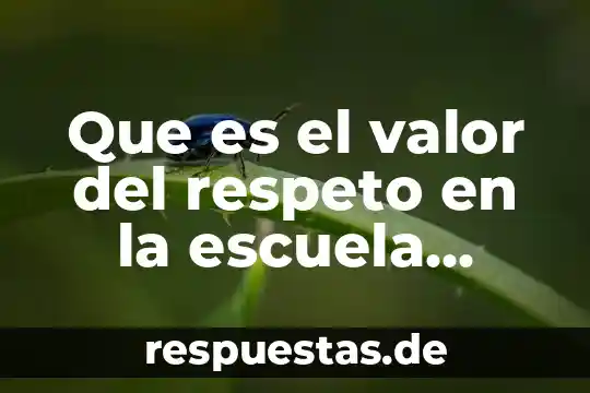 Que es el respeto en la relacion afectiva 4 Que es el valor del respeto en la escuela largo