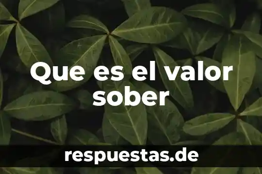 ¿Qué es el valor de las im? 4 Que es el valor sober