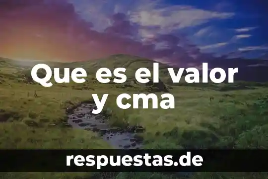 Que es el valor y cma