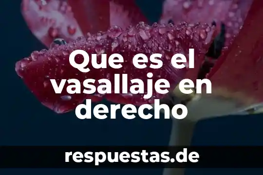 ¿Qué es la investigación científica y su historia? 3 Que es el vasallaje en derecho