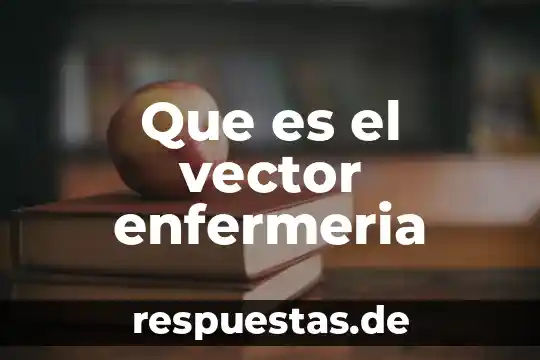 Qué es sarmiento definición de enfermería 3 Que es el vector enfermeria