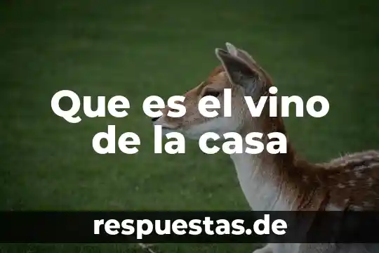 Que es casa de seguridad 4 Que es el vino de la casa