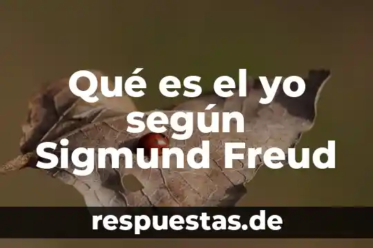 Qué es el yo en filosofía latinoamericana 7 Qué es el yo según Sigmund Freud