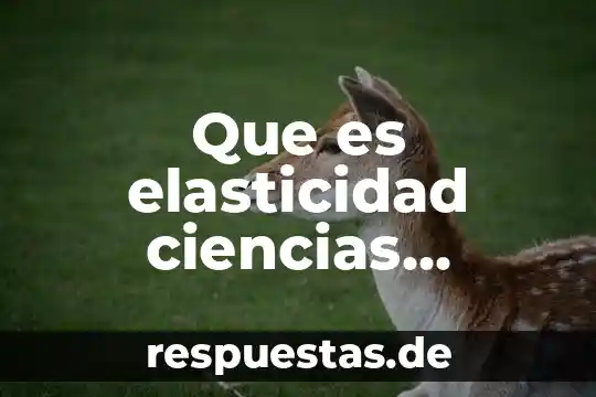 Que es elasticidad ciencias naturales