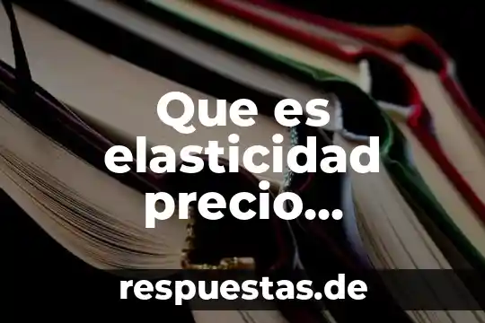 Que es elasticidad precio ejemplos