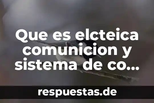 Que es sistema ventral 5 Que es elcteica comunicion y sistema de co trol