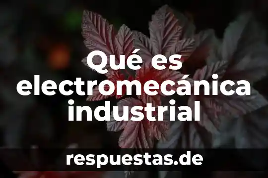 Que es icono de mis complementos de word 3 Qué es electromecánica industrial
