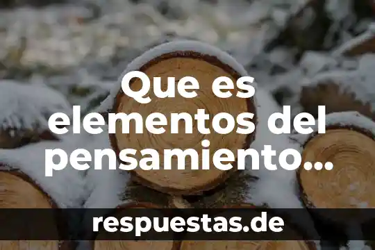 Que es ser consciente de sus derechos 4 Que es elementos del pensamiento critico
