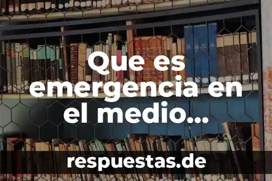Que es el ambiente frustante 7 Que es emergencia en el medio ambiente de trabajo