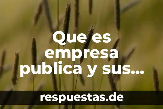 Que es c4 seguridad publica 4 Que es empresa publica y sus fines