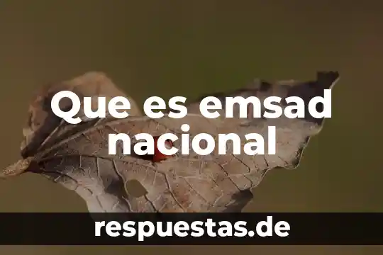 Qué es el escudo nacional de la República Dominicana 6 Que es emsad nacional