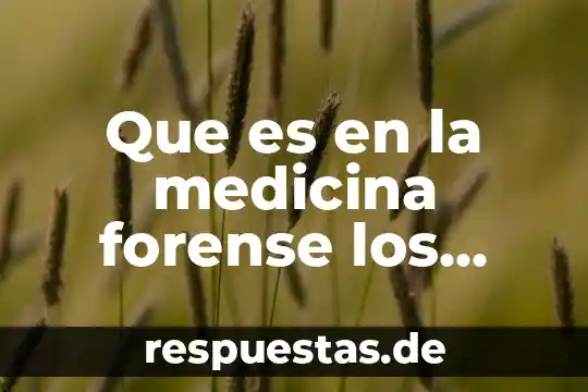 Que es analisis forense de sistemas 5 Que es en la medicina forense los acercamientos