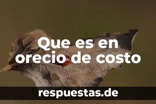 Que es en orecio de costo