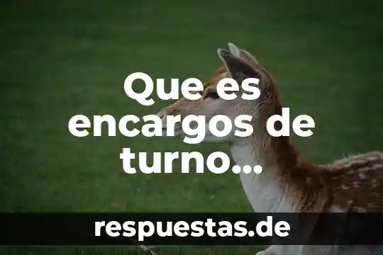 Qué es la santidad definición 7 Que es encargos de turno definicion