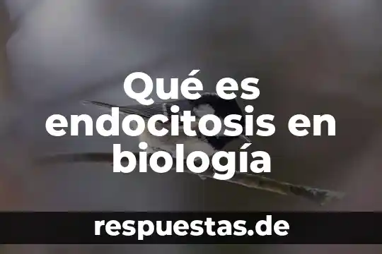 Qué es presa en biologia 4 Qué es endocitosis en biología