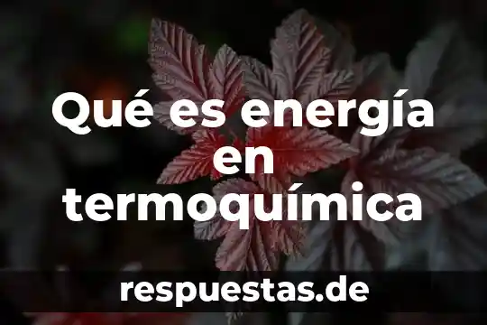 Que es un campo de energia escudo 6 Qué es energía en termoquímica