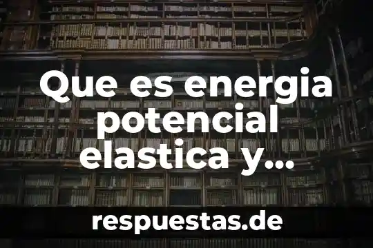 Que es el sistema de nombre de dominio ejemplos 7 Que es energia potencial elastica y ejemplos
