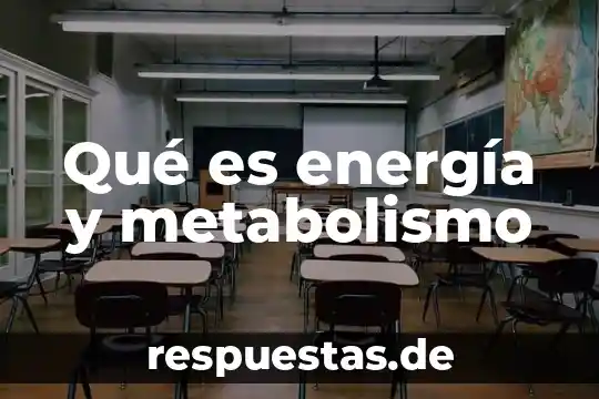 Qué es energía y metabolismo