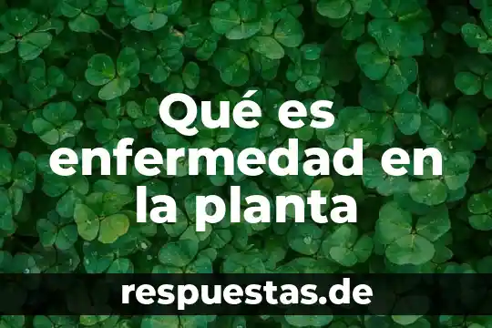 ¿Qué es árbol planta hulífera? 5 Qué es enfermedad en la planta